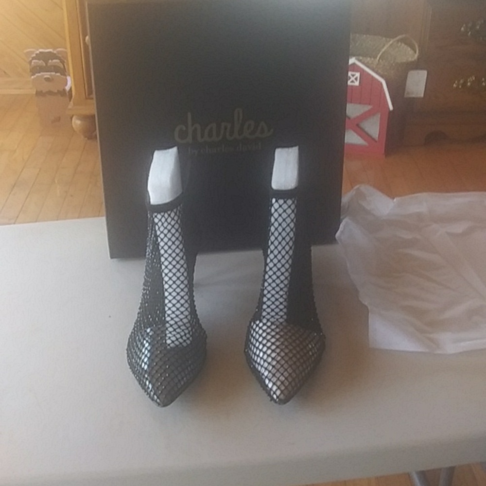Beautiful Charles shoes. They are brand new never worn. small heel very stylish
